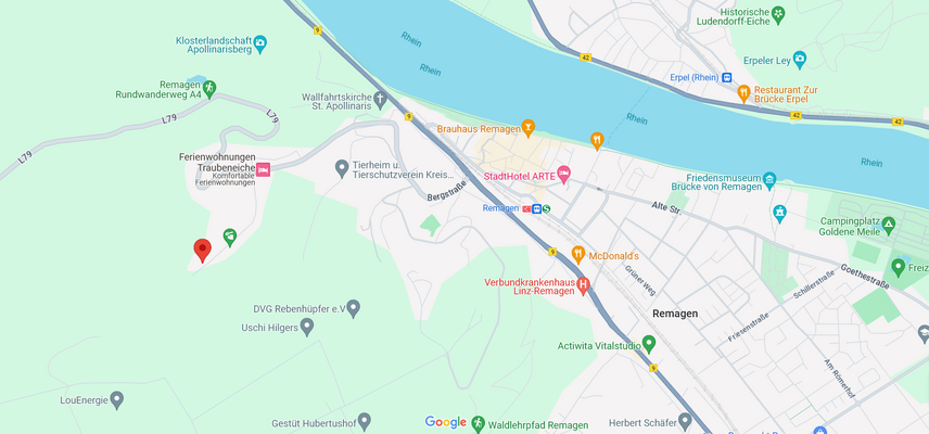 Lage der Immobilie in REMAGEN