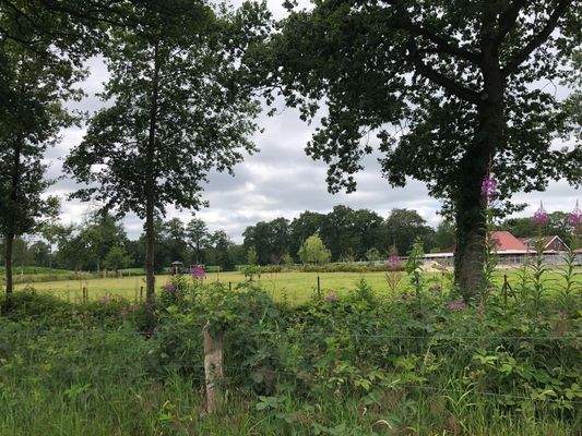 Weidefläche-Bauland