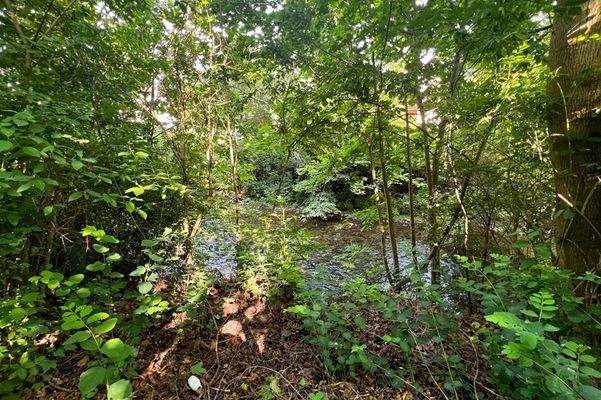 Idyllischer Fußweg an der Gera