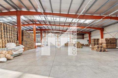 Bergkamen Halle, Bergkamen Hallenfläche