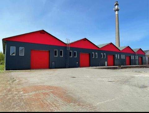 Selb Halle, Selb Hallenfläche