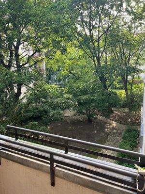 Blick vom Balkon auf den Garten 2
