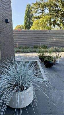 Lichtschacht mit Bepflanzung 