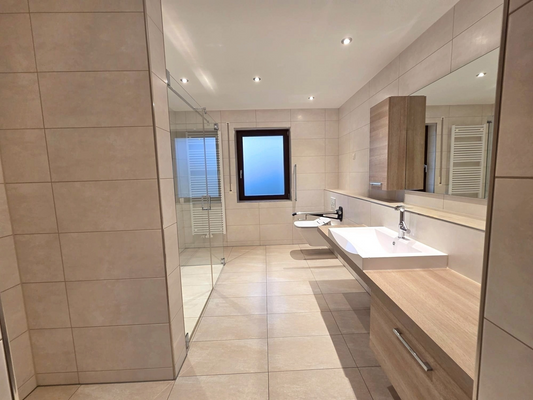 Badezimmer im Erdgeschoss mit ebenerdiger großer Dusche .png