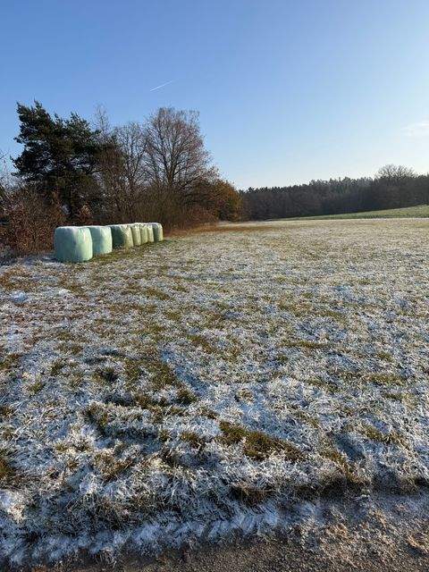 Neudrossenfeld Grundstücke, Neudrossenfeld Grundstück kaufen