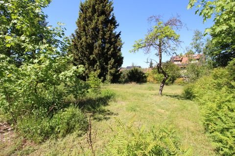 Mühlenbecker Land Grundstücke, Mühlenbecker Land Grundstück kaufen