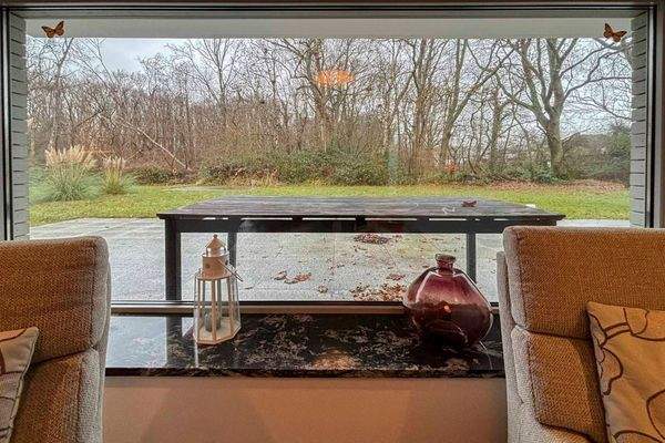 die Natur im Wohnzimmer