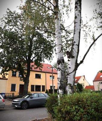 Ansicht von der Strasse.JPG