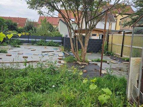 Mühlberg/Elbe Häuser, Mühlberg/Elbe Haus kaufen