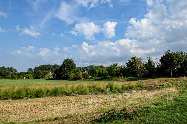 Wohnen umgeben von Feldern