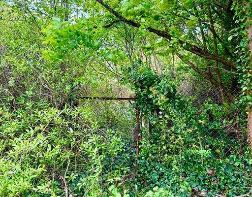 Grundstück von hinten