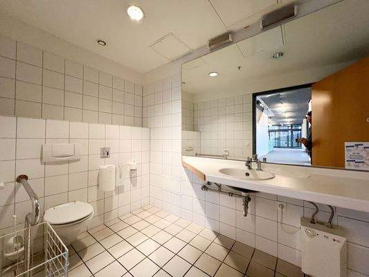 Behinderten-WC im EG