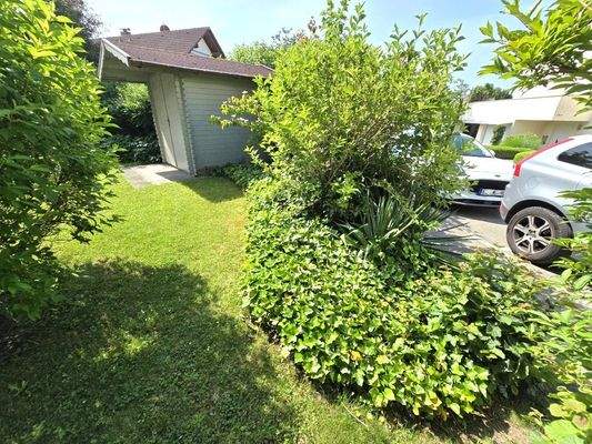 20250611_105418 (Mittel).jpg