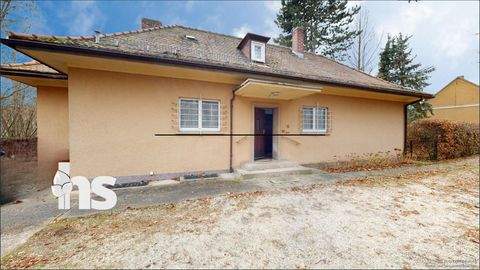 Teuchern Häuser, Teuchern Haus kaufen