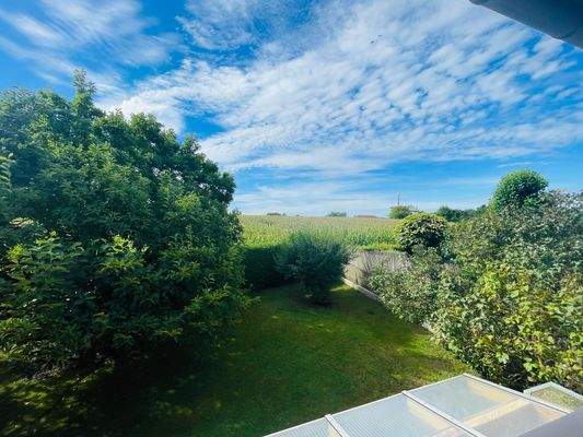 Aussicht vom Balkon