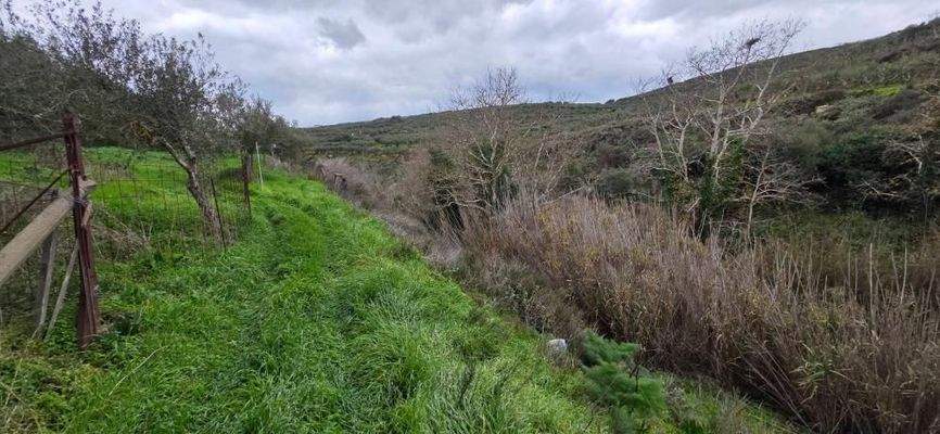 Kreta, Agies Paraskies: Großes Grundstück zu verkaufen