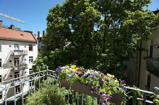 Balkon Kind Gast