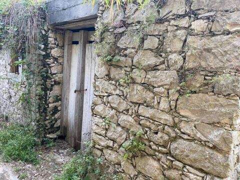 Mali Losinj Häuser, Mali Losinj Haus kaufen