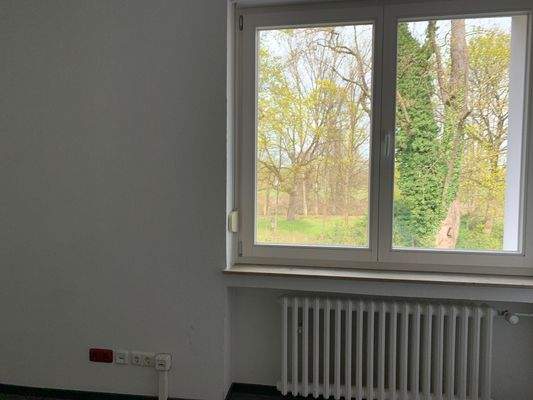 Blick in den Park.jpg