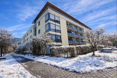 Dresden Wohnungen, Dresden Wohnung kaufen