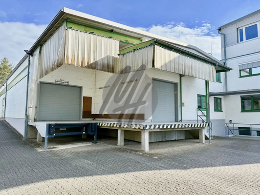 INFOS UNTER: 06171-586000