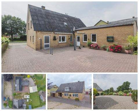 Tielen Häuser, Tielen Haus kaufen