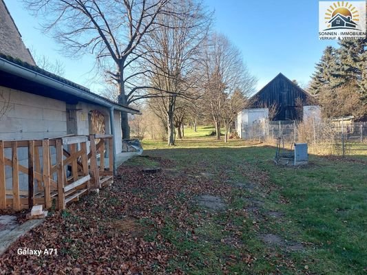 Blick in den Garten