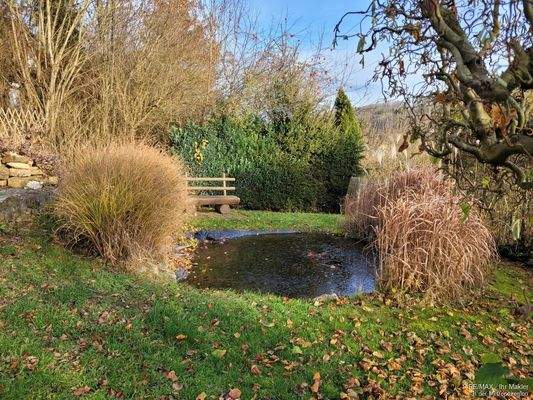 Goldfischteich mit Ruhebank