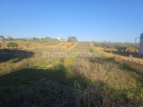 Bollullos del Condado Grundstücke, Bollullos del Condado Grundstück kaufen