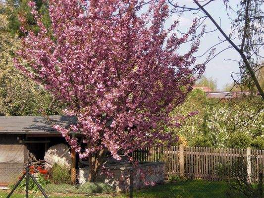 Schubertstr 14-18 Blick1.jpg