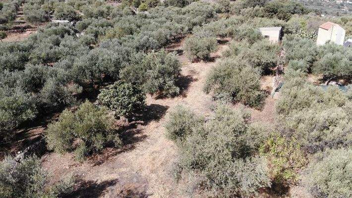 Kreta, Neo Chorio: Charmantes Baugrundstück mit Olivenbäumen und Panoramablick im Apokoronas zu verkaufen