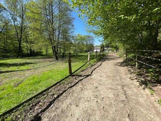 Weg auf dem Gelände
