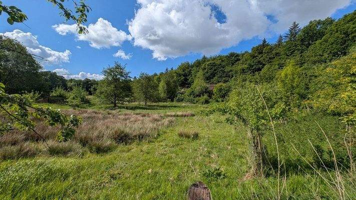 Blick über die Felder