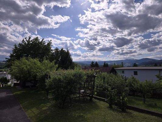 Panorama Westbalkon & Weinlaub