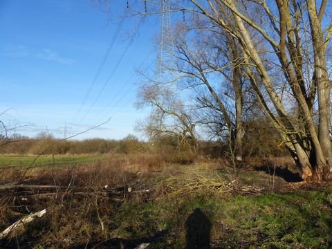 Oberkrämer Bauernhöfe, Landwirtschaft, Oberkrämer Forstwirtschaft