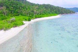 Kepulauan Anambas Regency Bauernhöfe, Landwirtschaft, Kepulauan Anambas Regency Forstwirtschaft