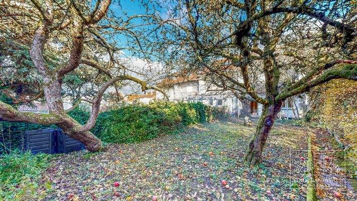 Garten mit Obstbäumen