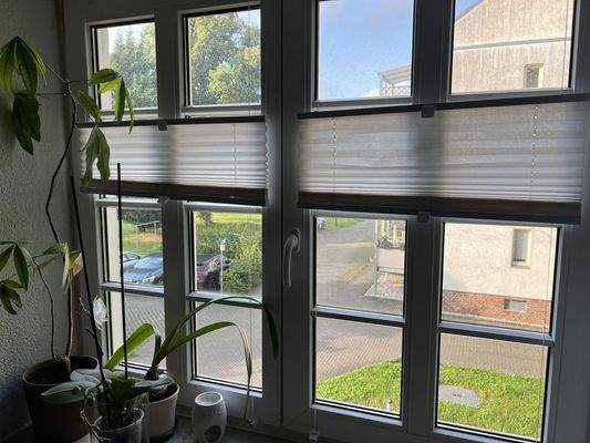 Blick vom Schlafzimmer in Hof