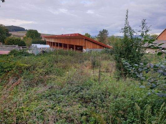 Rückseite Grundstück.jpg
