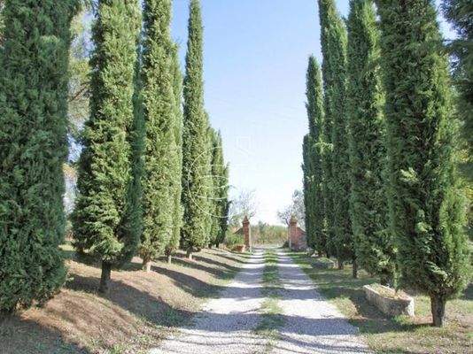 Großartiges Anwesen | Sinalunga