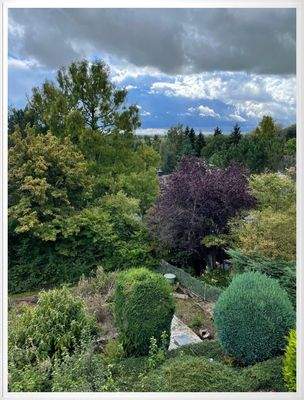 Gemeinschaftl. Gartenbereich