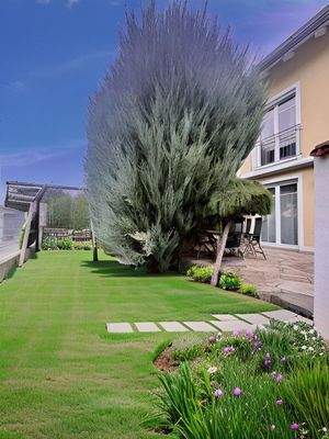 Zusätzlich gepachtete Grundstück