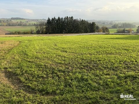 Neuhofen an der Krems Grundstücke, Neuhofen an der Krems Grundstück kaufen