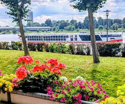 Blick auf den Rhein im Sommer