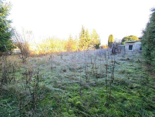 vordere unbebaute Fläche