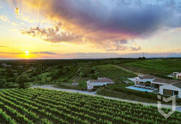 Weingärten in direkter Umbgebung