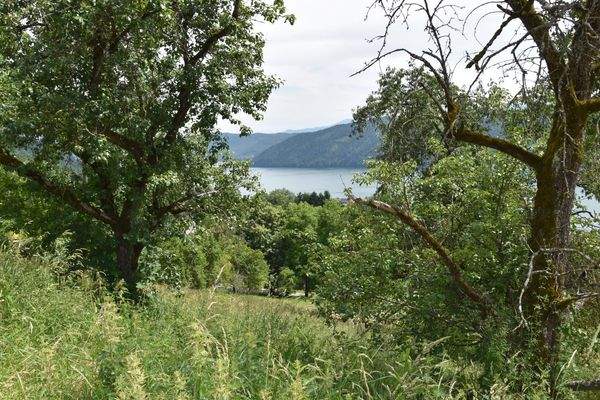 Herz was willst Du mehr