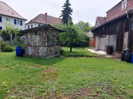 Teil des Gartens,.jpg