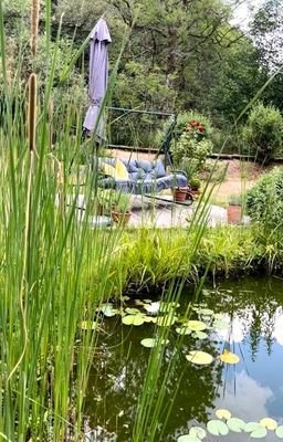 Garten4.jpg