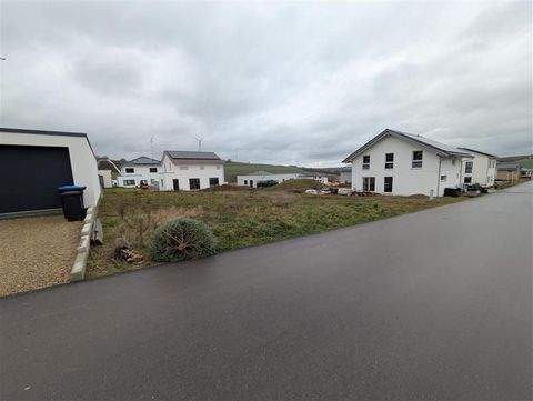 Welschbillig Grundstücke, Welschbillig Grundstück kaufen